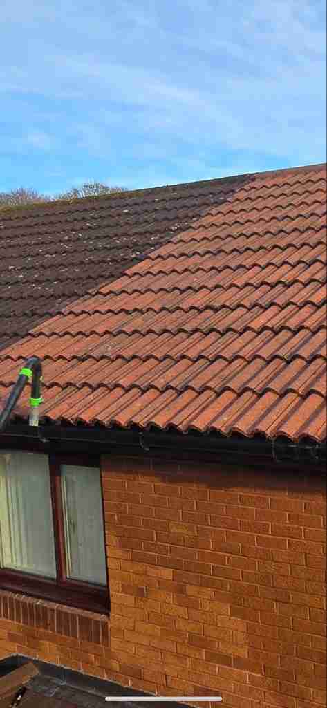 Clean Roof