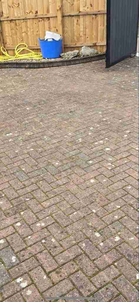 Old Driveway